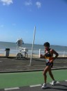 p1030929 * 1512 x 2016 * (321KB)
