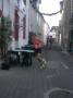 gal/Corrida_noel_2007/_thb_corrida_2007_040.jpg