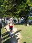 gal/ekiden_fiducial_14-09-2008/_thb_P1230136.JPG